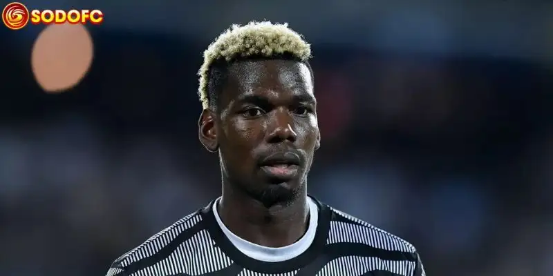 Paul Pogba tìm cơ hội trở lại đỉnh cao