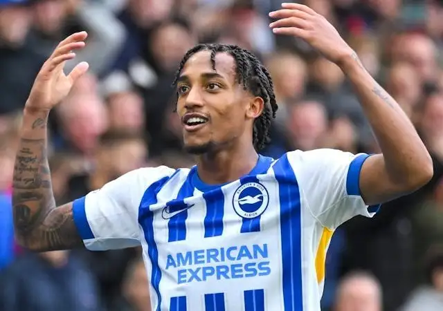 Brighton & Hove Albion