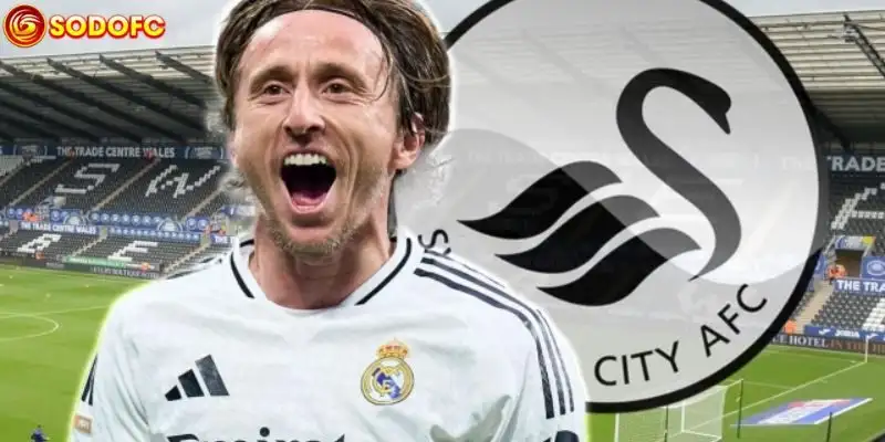 Luka Modric Đầu Tư Tại Swansea City Chuẩn Bị Cho Cuộc Sống Sau Sân Cỏ